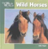 Wild_horses