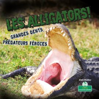 Les_alligators__Grandes_dents__pr__dateurs_f__roces