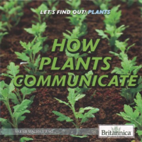 How_plants_communicate
